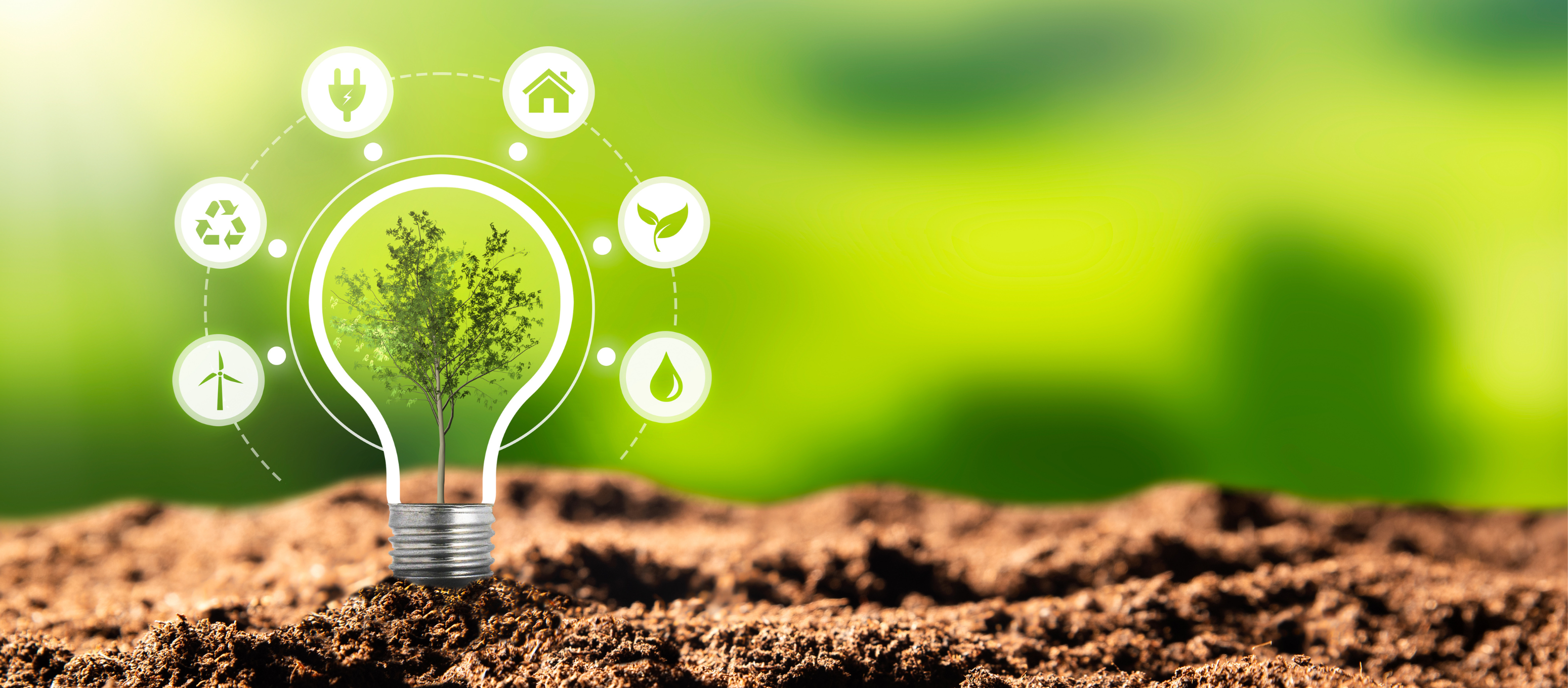 Increase The Sustainability Of Your Venue With MyTab